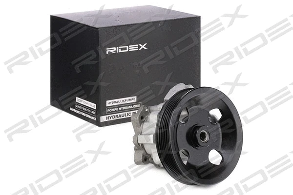 12H0198 RIDEX Гидравлический насос, рулевое управление (фото 1)