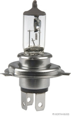 89901100 HERTH+BUSS Лампа накаливания, фара дальнего света (фото 1)