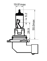 202990 SCT GERMANY Лампа накаливания, основная фара (фото 1)