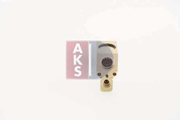 840220N AKS DASIS Расширительный клапан, кондиционер (фото 15)