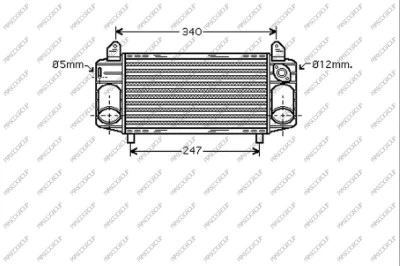 AD302N001 PRASCO Интеркулер (фото 1)