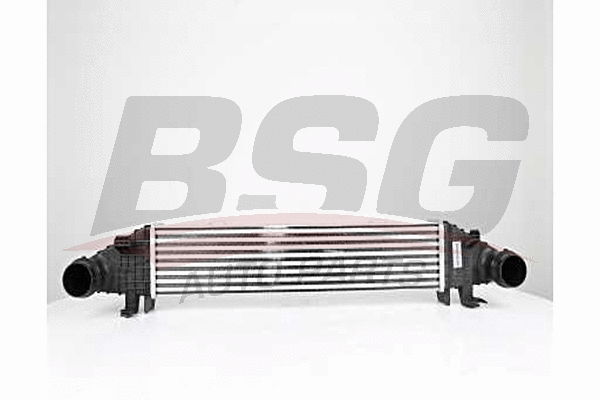BSG 60-535-009 BSG Интеркулер (фото 1)