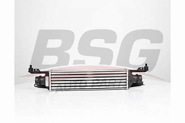 BSG 65-535-012 BSG Интеркулер (фото 1)