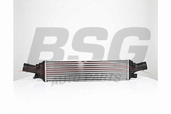 BSG 90-535-014 BSG Интеркулер (фото 1)