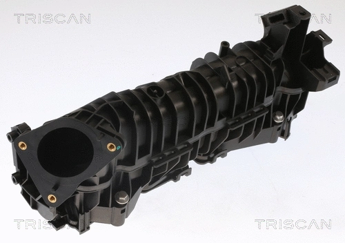 8910 11101 TRISCAN Впускная труба, подвод воздуха (фото 1)