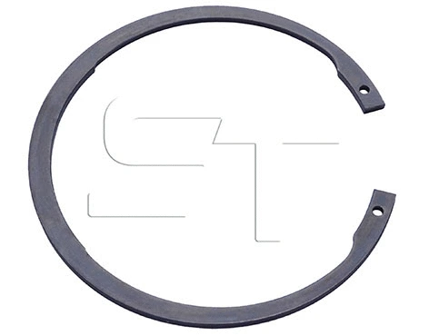 04.120.0249.100 ST-TEMPLIN Стопорное кольцо (фото 1)