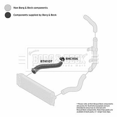 BTH1107 BORG & BECK Трубка нагнетаемого воздуха (фото 1)