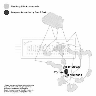 BTH1164 BORG & BECK Трубка нагнетаемого воздуха (фото 1)