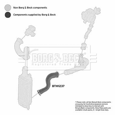 BTH1237 BORG & BECK Трубка нагнетаемого воздуха (фото 1)