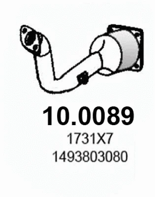 10.0089 ASSO Катализатор (фото 1)