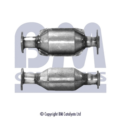 BM80010 BM CATALYSTS Катализатор (фото 1)