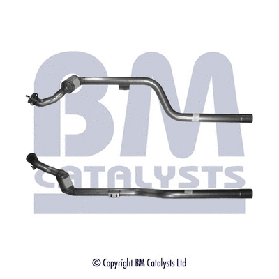 BM80066H BM CATALYSTS Катализатор (фото 1)