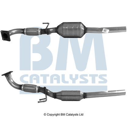 BM80091 BM CATALYSTS Катализатор (фото 1)