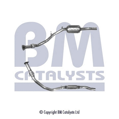 BM80095 BM CATALYSTS Катализатор (фото 1)