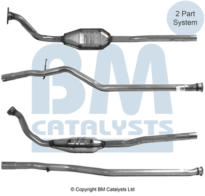 BM80131 BM CATALYSTS Катализатор (фото 1)