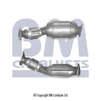 BM80139 BM CATALYSTS Катализатор (фото 1)