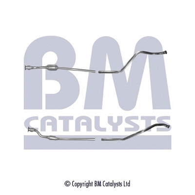 BM80169H BM CATALYSTS Катализатор (фото 1)