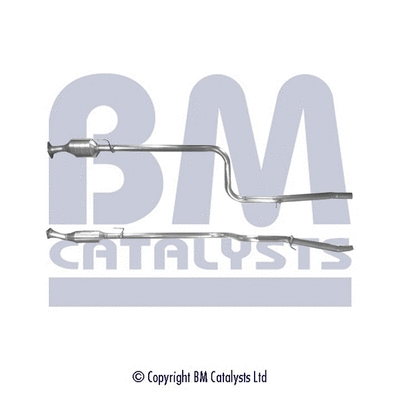BM80195 BM CATALYSTS Катализатор (фото 1)
