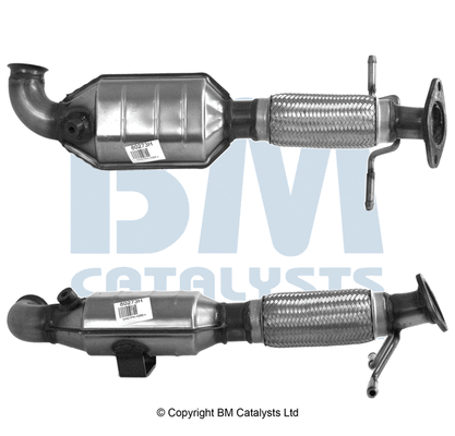 BM80273H BM CATALYSTS Катализатор (фото 1)