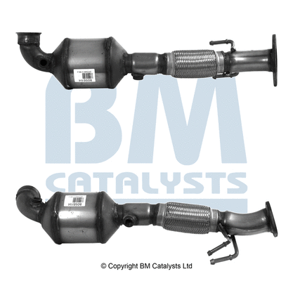 BM80551H BM CATALYSTS Катализатор (фото 1)