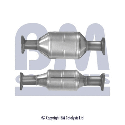 BM90066H BM CATALYSTS Катализатор (фото 1)