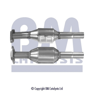 BM90074 BM CATALYSTS Катализатор (фото 1)