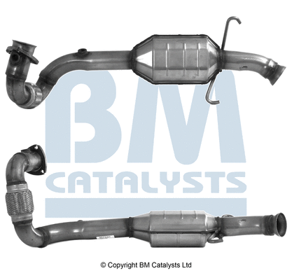 BM90733 BM CATALYSTS Катализатор (фото 1)