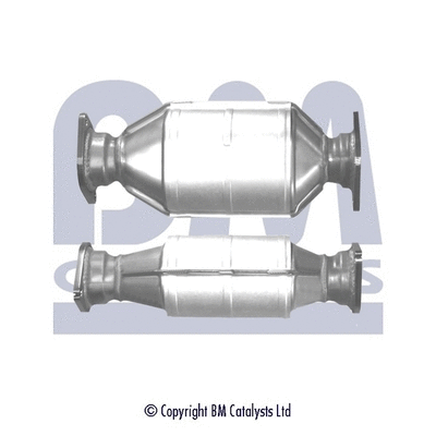 BM90736 BM CATALYSTS Катализатор (фото 1)