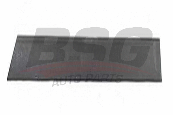 BSG 65-925-040 BSG Облицовка / защитная накладка, дверь (фото 1)