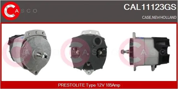 CAL11123GS CASCO Генератор (фото 1)