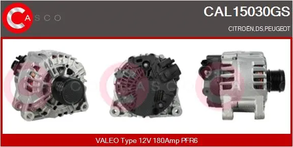 CAL15030GS CASCO Генератор (фото 1)