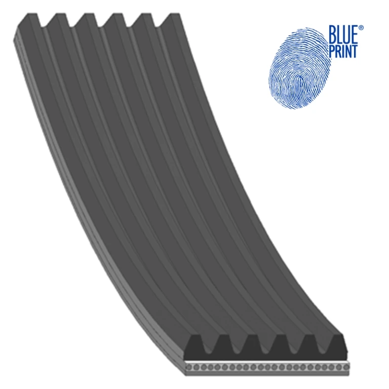 AD06R805 BLUE PRINT Поликлиновой ремень (фото 2)