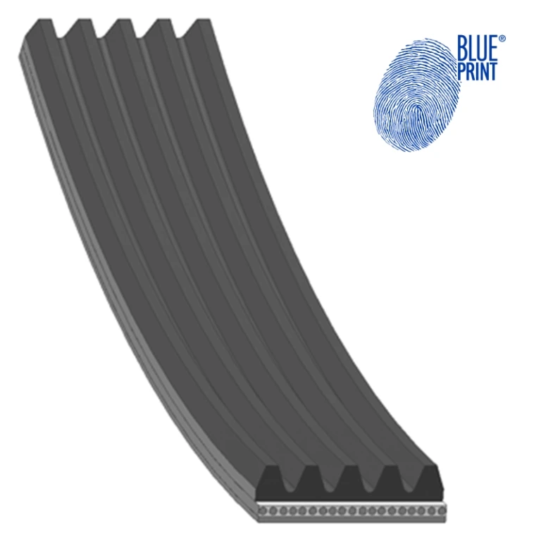 AD05R906 BLUE PRINT Поликлиновой ремень (фото 2)
