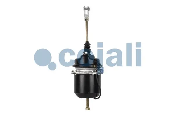 2251402 COJALI Тормозной цилиндр с пружинным энергоаккумулятором (фото 2)
