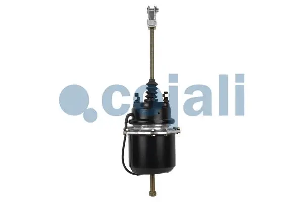 2251415 COJALI Тормозной цилиндр с пружинным энергоаккумулятором (фото 4)