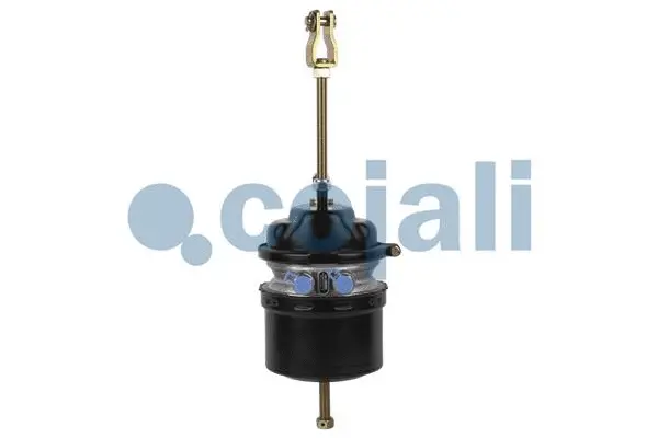 2251502 COJALI Тормозной цилиндр с пружинным энергоаккумулятором (фото 1)