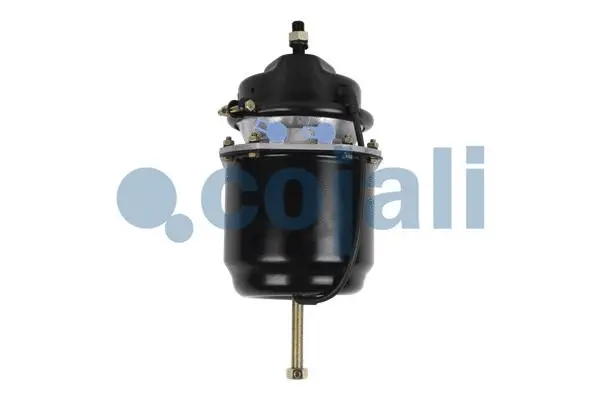 2251515 COJALI Тормозной цилиндр с пружинным энергоаккумулятором (фото 1)