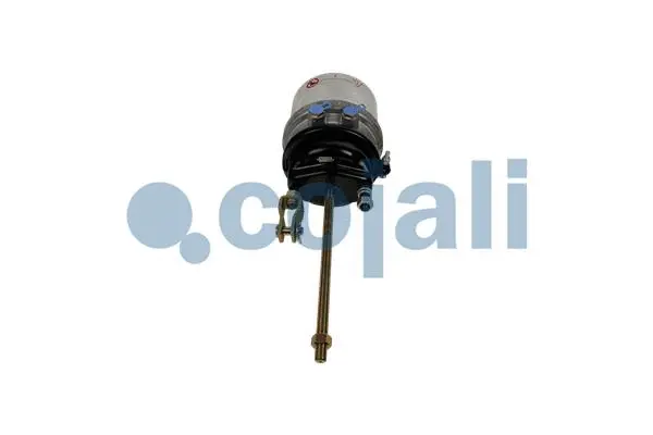 2251605 COJALI Тормозной цилиндр с пружинным энергоаккумулятором (фото 2)