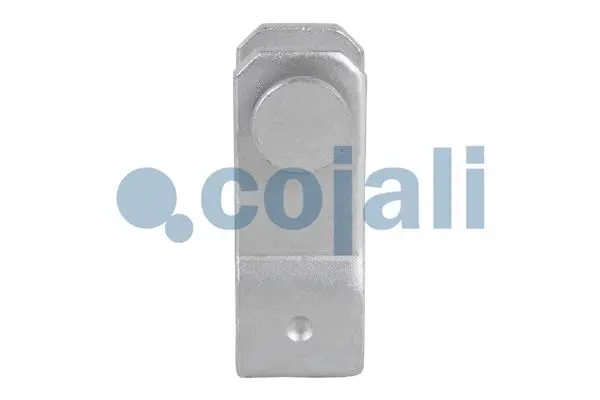 2351519 COJALI Комбинированный тормозной цилиндр (фото 4)