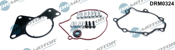 DRM0324 Dr.Motor Automotive Ремкомплект, вакуумный насос (тормозная установка) (фото 1)