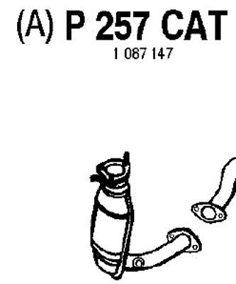 P257CAT FENNO Катализатор (фото 1)