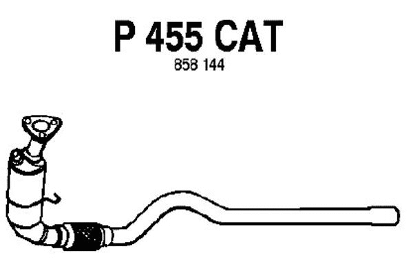 P455CAT FENNO Катализатор (фото 1)