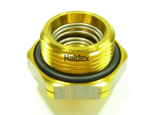 315019021 HALDEX Клапан слива воды (фото 1)