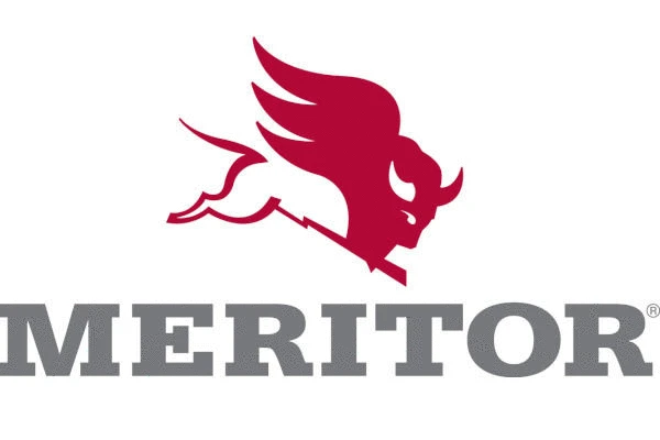 MLF21229214 MERITOR Тело подвески, пневматическая подвеска (фото 1)