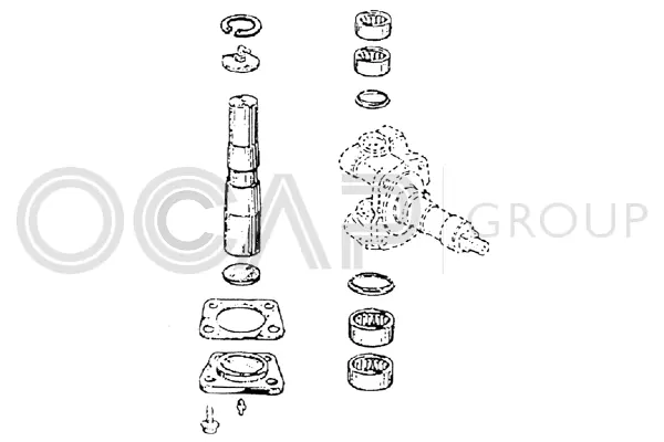 0927392 OCAP Ремкомплект, шкворень поворотного кулака (фото 1)