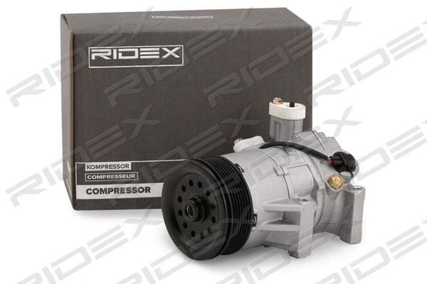 447K0271 RIDEX Компрессор, кондиционер (фото 1)