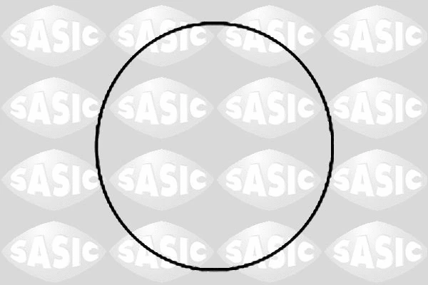 1120780 SASIC Комплект прокладок, гильза цилиндра (фото 1)