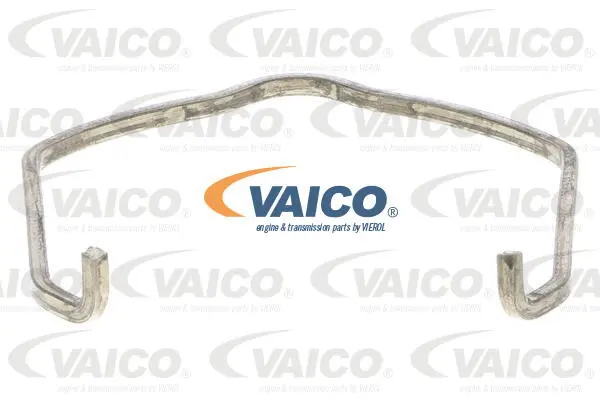 V10-4442 VAICO Хомут, воздушный шланг компрессора (фото 1)