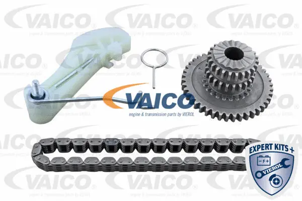 V10-5855 VAICO Комплект цепи, привод масляного насоса (фото 1)