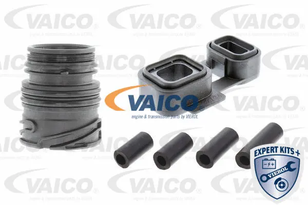 V20-3770-XXL VAICO Комплект прокладок, автоматическая коробка передач (фото 1)